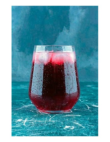 Zumo de Arándanos sin Azúcar 500ml - Don Ramiro